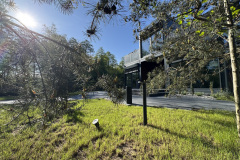 Centrum_Obecnosci_2025_Wiosna_16 Centrum_Obecnosci_2025_Wiosna_16